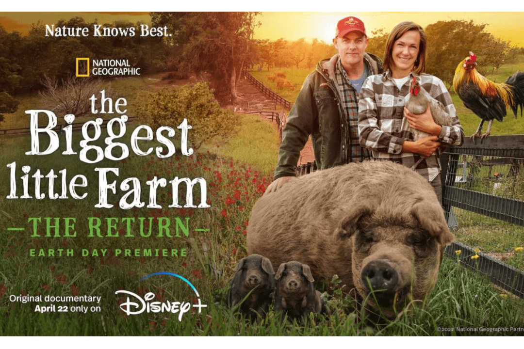 Friday, April 22nd, 2022 is Earth Day! - Luxe Architectural