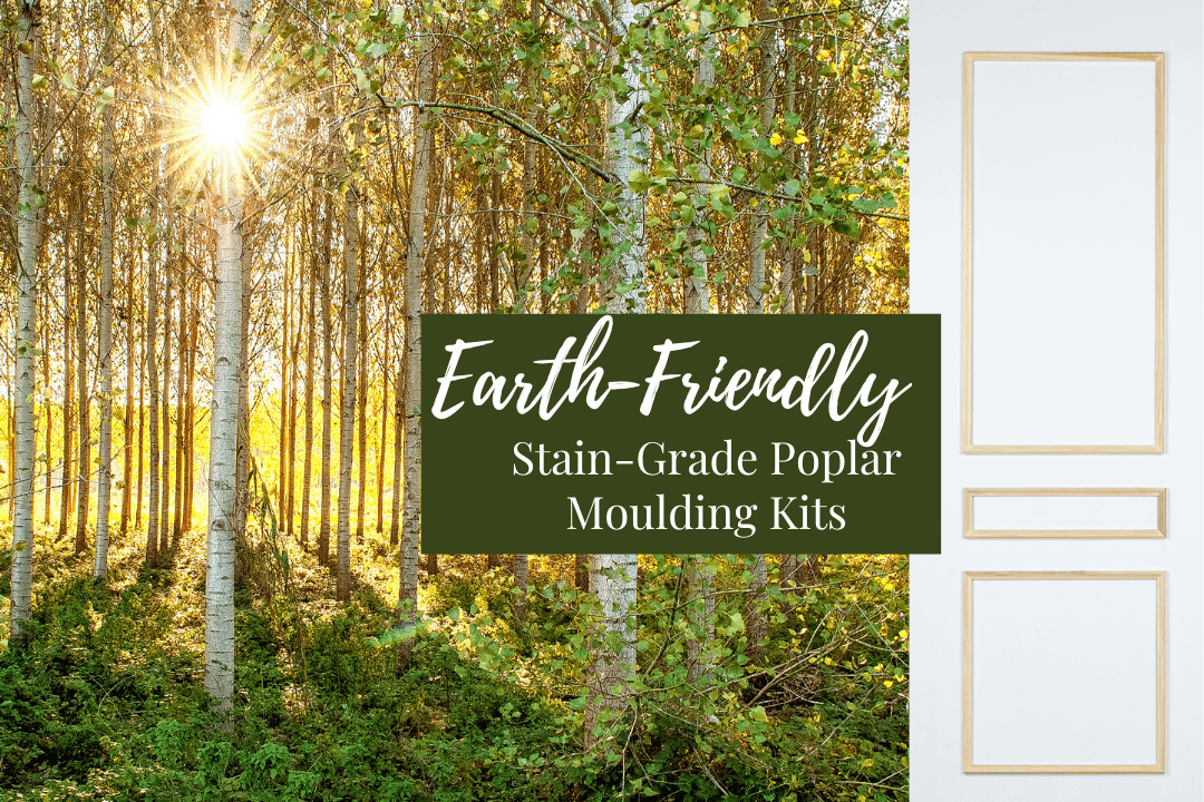 It's Earth Day 2023! - Luxe Architectural