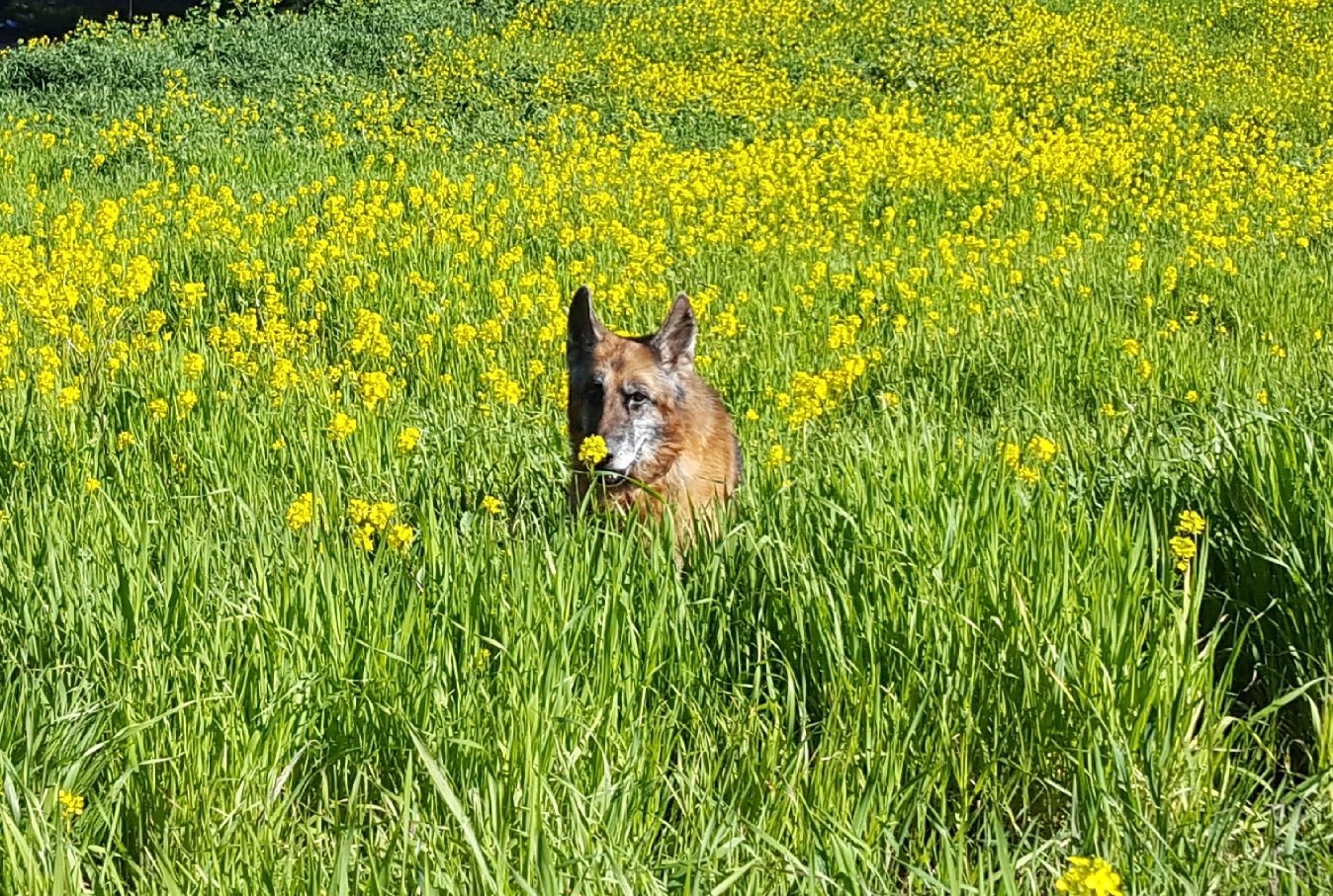 My Favorite Things for Spring 2019 - Luxe Architectural