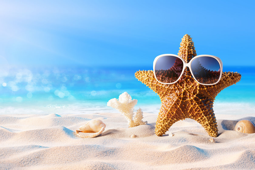 My Favorite Things for Summer 2018 - Luxe Architectural